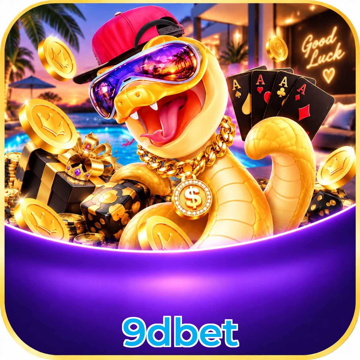 9dbet