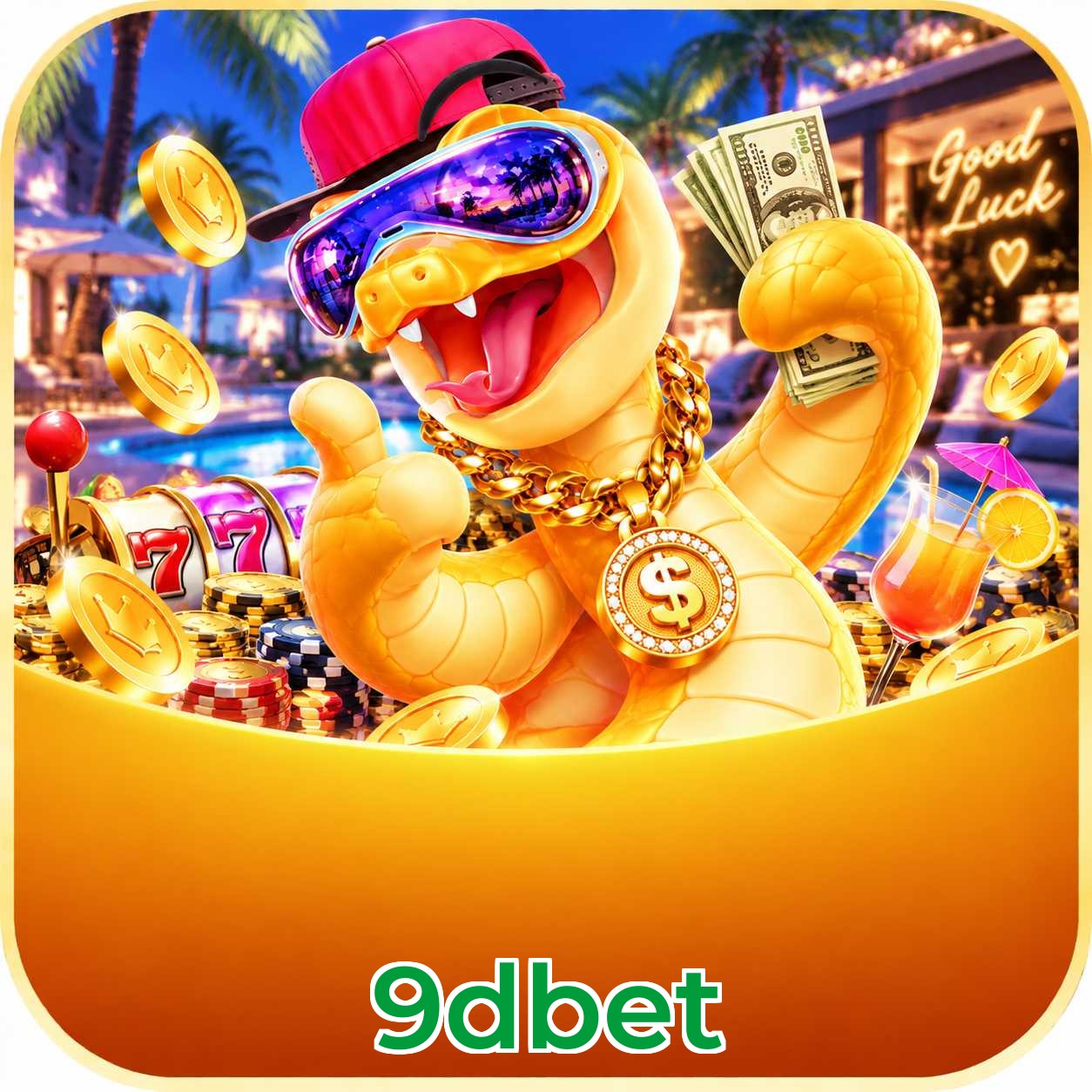 9dbet