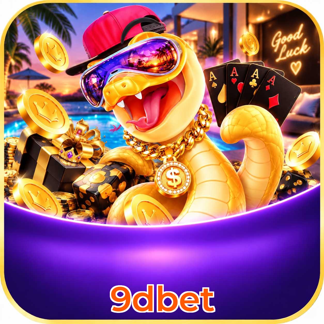 9dbet